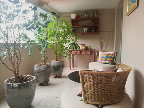 Imagem Apartamento com 3 Quartos à Venda, 172 m² em Jardim Londrina - São Paulo Imagem Apartamento com 3 Quartos à Venda, 172 m² em Jardim Londrina - São Paulo