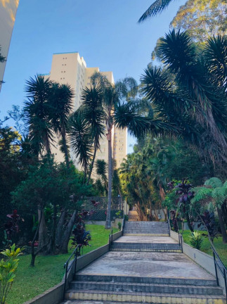 Imagem Apartamento com 2 Quartos à Venda, 53 m² em Jardim Regina - São Paulo Imagem Apartamento com 2 Quartos à Venda, 53 m² em Jardim Regina - São Paulo