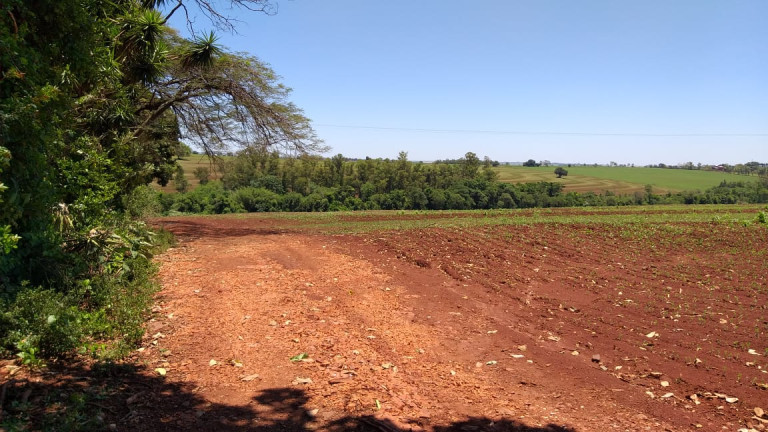 Imagem Fazenda à Venda,  em Gleba Ribeirão Maringá - Maringá