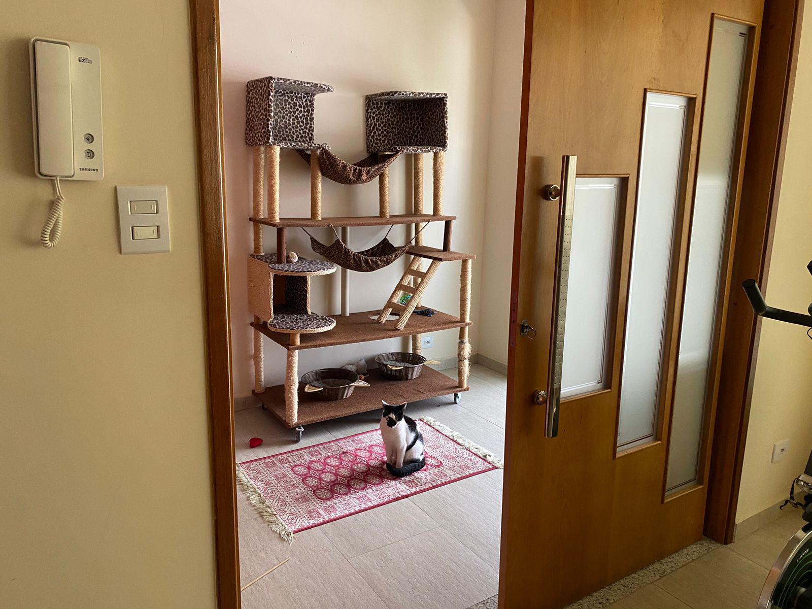 Imagem Casa com 4 Quartos à Venda, 215 m²em Bosque da Saúde - São Paulo
