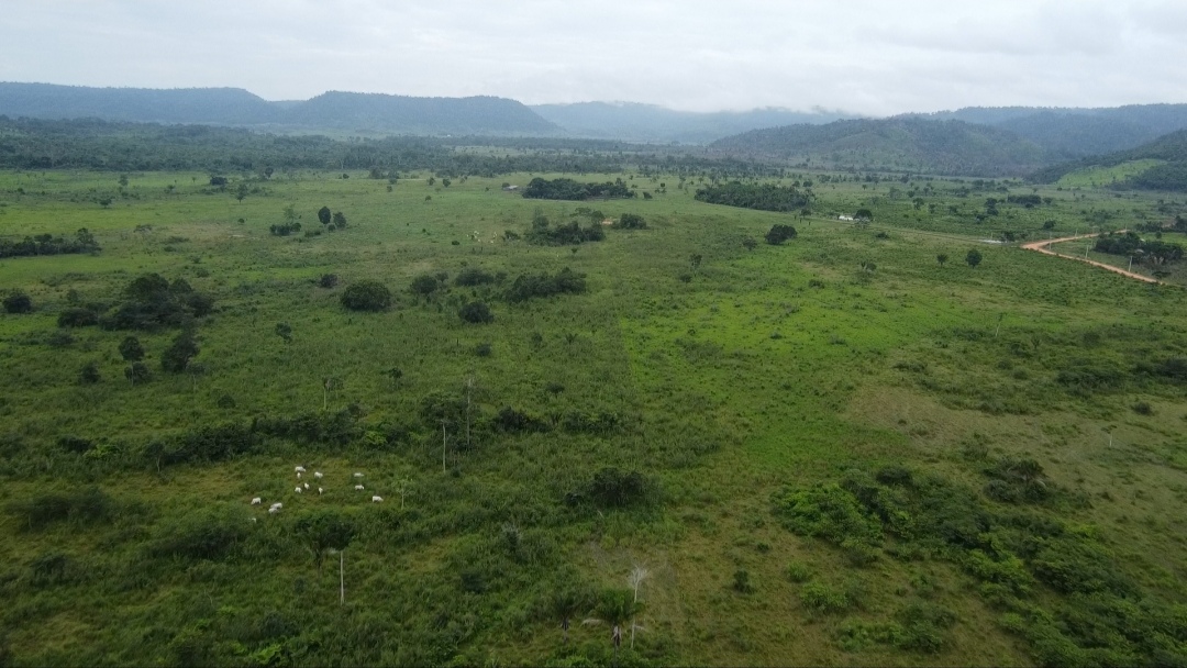 Imagem Fazenda à Venda, 90 m²em Centro - São Félix do Xingu Imagem Fazenda à Venda, 90 m²em Centro - São Félix do Xingu