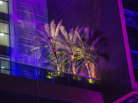 Imagem Sala Comercial para Alugar, 35 m² em Parque Verde - Belém