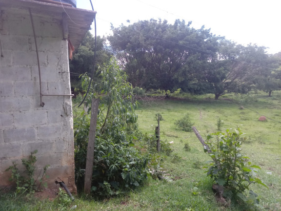 Imagem Chácara com 2 Quartos à Venda, 25.000 m² em Jardim Palmeiras - Caçapava