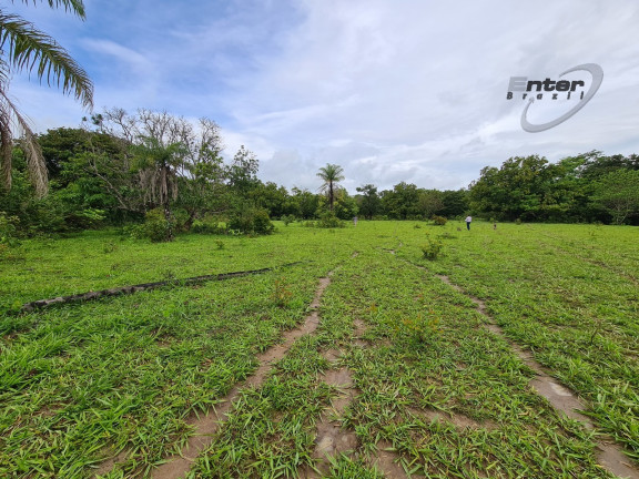 Imagem Fazenda à Venda, 24 HA em brazlandia - Brasília