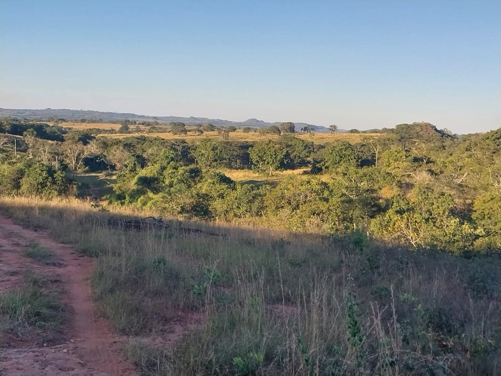 Imagem Fazenda à Venda, 353 HAem ZONA RURAL - Alto Araguaia Imagem Fazenda à Venda, 353 HAem ZONA RURAL - Alto Araguaia