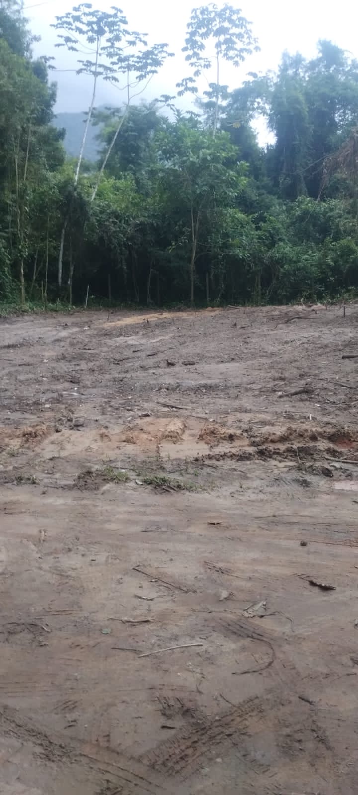 Imagem Terreno em Condomínio à Venda, 570 m² em Itamambuca - Ubatuba