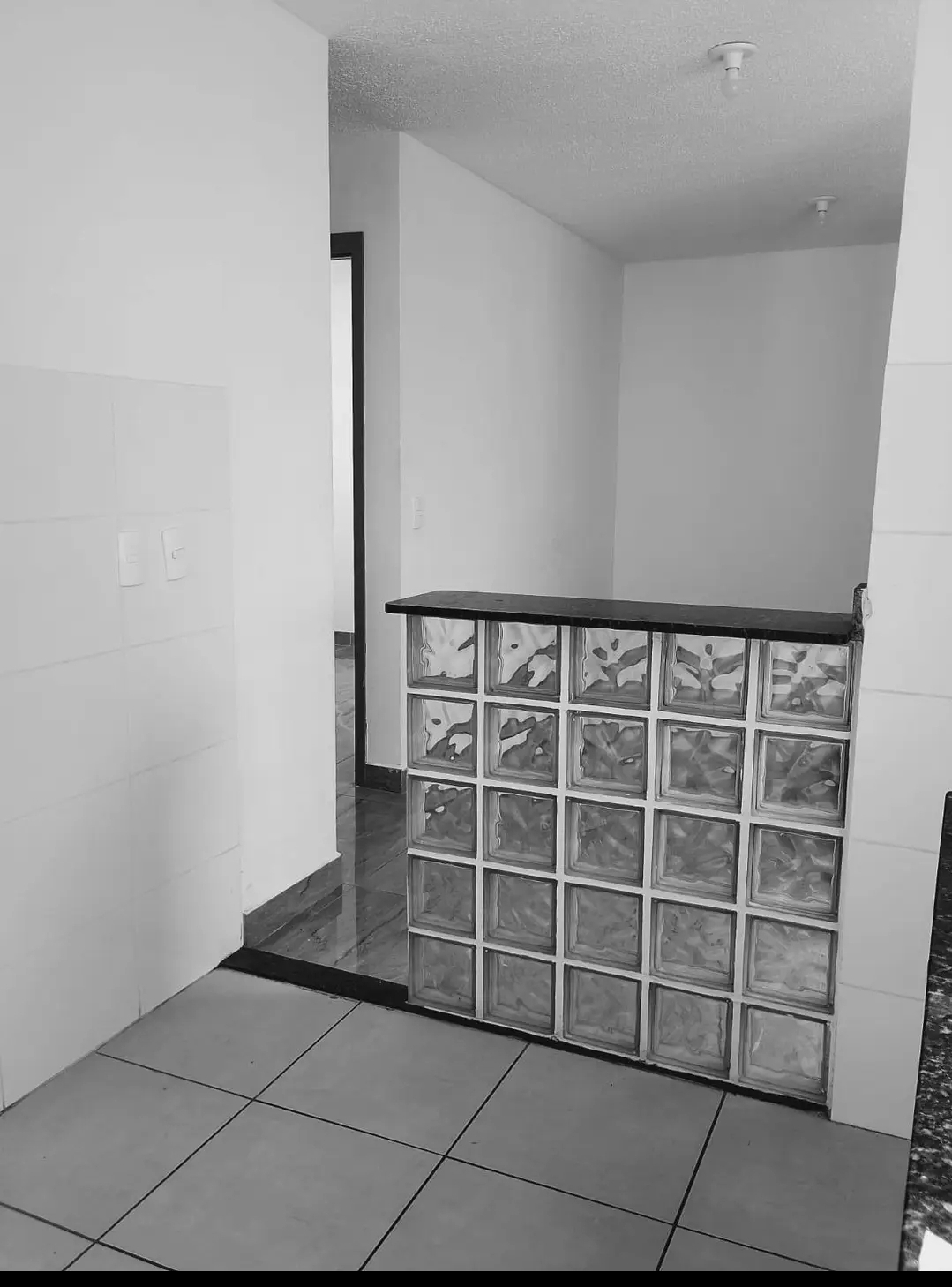 Imagem Apartamento com 2 Quartos para Alugar, 48 m² em Parque Santa Rosa - Suzano