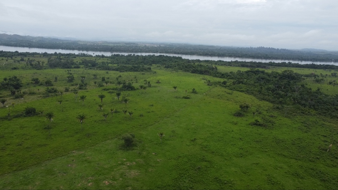 Imagem Fazenda à Venda, 90 m²em Centro - São Félix do Xingu Imagem Fazenda à Venda, 90 m²em Centro - São Félix do Xingu