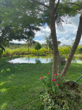 Imagem Chácara com 3 Quartos à Venda, 48.400 m² em zona rural - Orizona Imagem Chácara com 3 Quartos à Venda, 48.400 m² em zona rural - Orizona