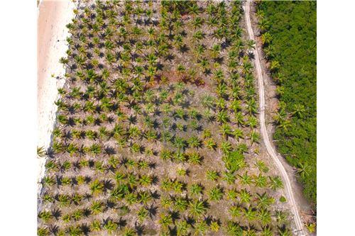Imagem Terreno à Venda, 14 m²em ILHA DO CONTRATO - Igrapiúna