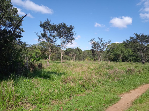 Imagem Terreno à Venda, 3.655.251 m²em Estância Vargem Bonita - Senador Canedo