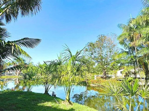 Imagem Chácara com 3 Quartos à Venda, 16.900 m² em Pau Darco - Santa Bárbara do Pará Imagem Chácara com 3 Quartos à Venda, 16.900 m² em Pau Darco - Santa Bárbara do Pará