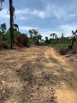 Imagem Fazenda à Venda, 837 HA em Área Rural de Santarém - Santarém Imagem Fazenda à Venda, 837 HA em Área Rural de Santarém - Santarém