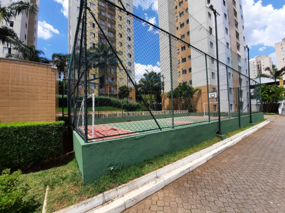 Imagem Apartamento com 3 Quartos à Venda, 60 m² em Cidade Patriarca - São Paulo Imagem Apartamento com 3 Quartos à Venda, 60 m² em Cidade Patriarca - São Paulo