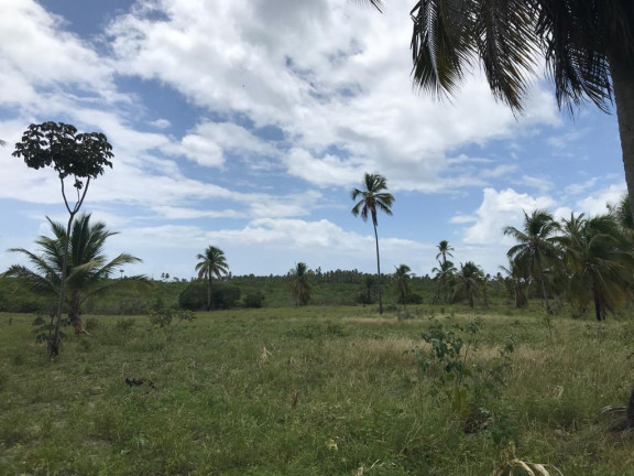 Imagem Terreno à Venda, 160.000 m² em Praia de Tamandaré - Tamandaré Imagem Terreno à Venda, 160.000 m² em Praia de Tamandaré - Tamandaré
