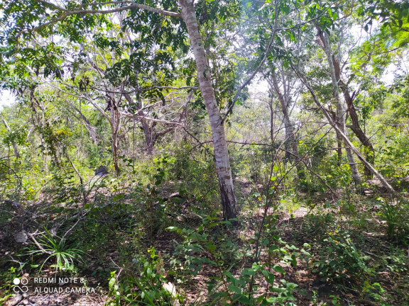 Imagem Fazenda à Venda,  em Mirador/ma - Mirador