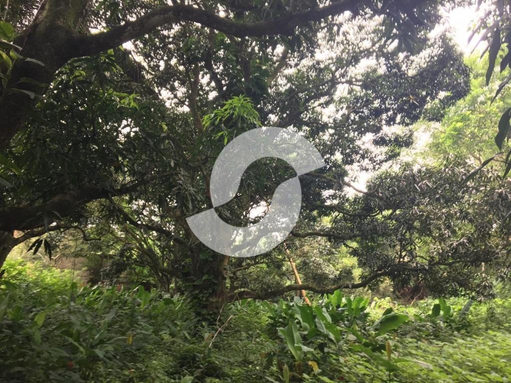 Imagem Imóvel à Venda, 16.000 m² em Várzea das Moças - Niterói Imagem Imóvel à Venda, 16.000 m² em Várzea das Moças - Niterói