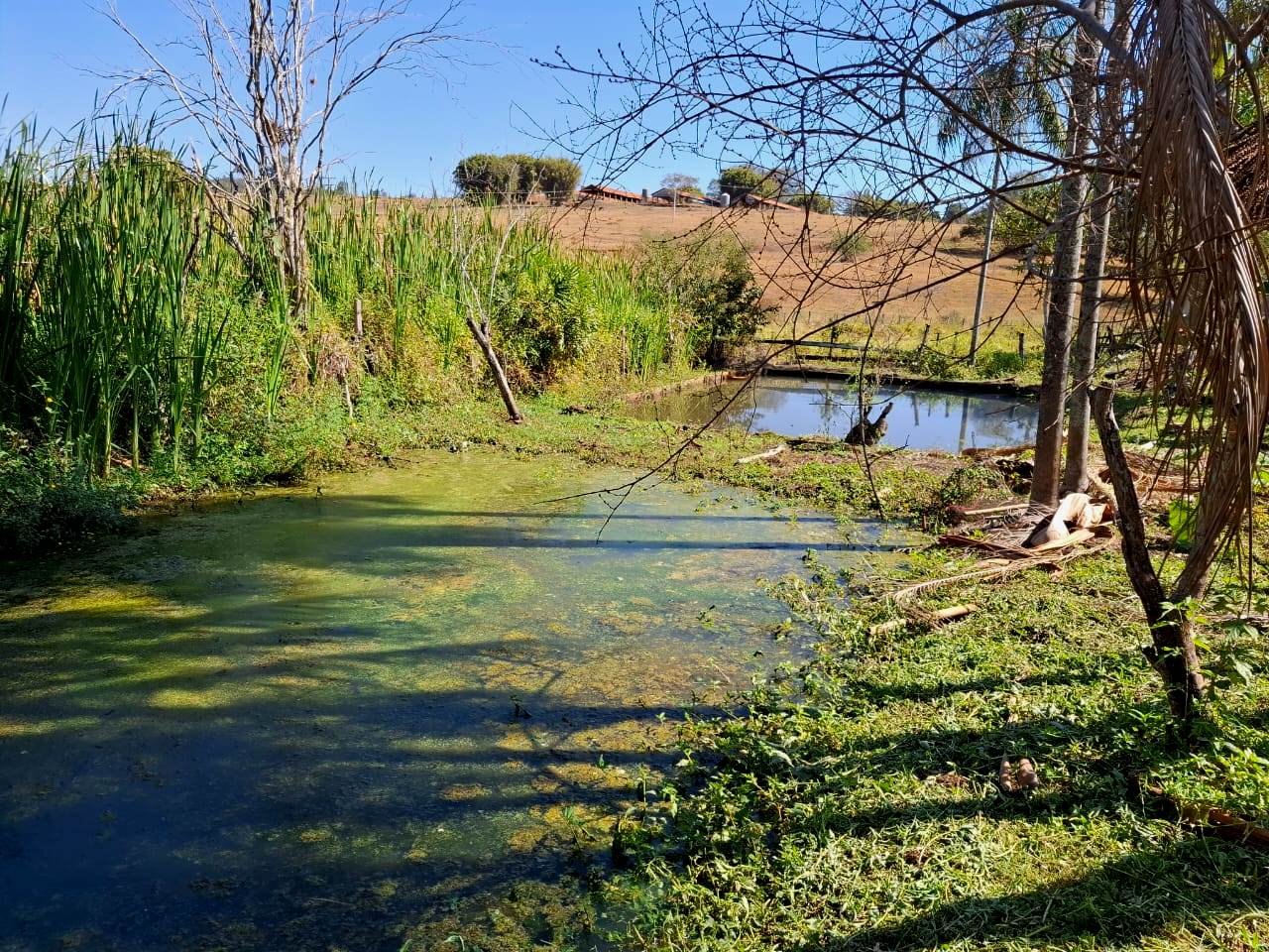Imagem Fazenda à Venda, 1 m²em Rural - Caconde Imagem Fazenda à Venda, 1 m²em Rural - Caconde