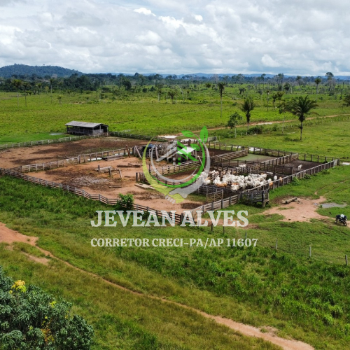 Imagem Fazenda à Venda, 4 m²em Centro - São Félix do Xingu Imagem Fazenda à Venda, 4 m²em Centro - São Félix do Xingu