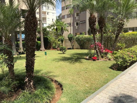 Imagem Apartamento com 2 Quartos à Venda, 50 m² em Vila Santana - São Paulo Imagem Apartamento com 2 Quartos à Venda, 50 m² em Vila Santana - São Paulo