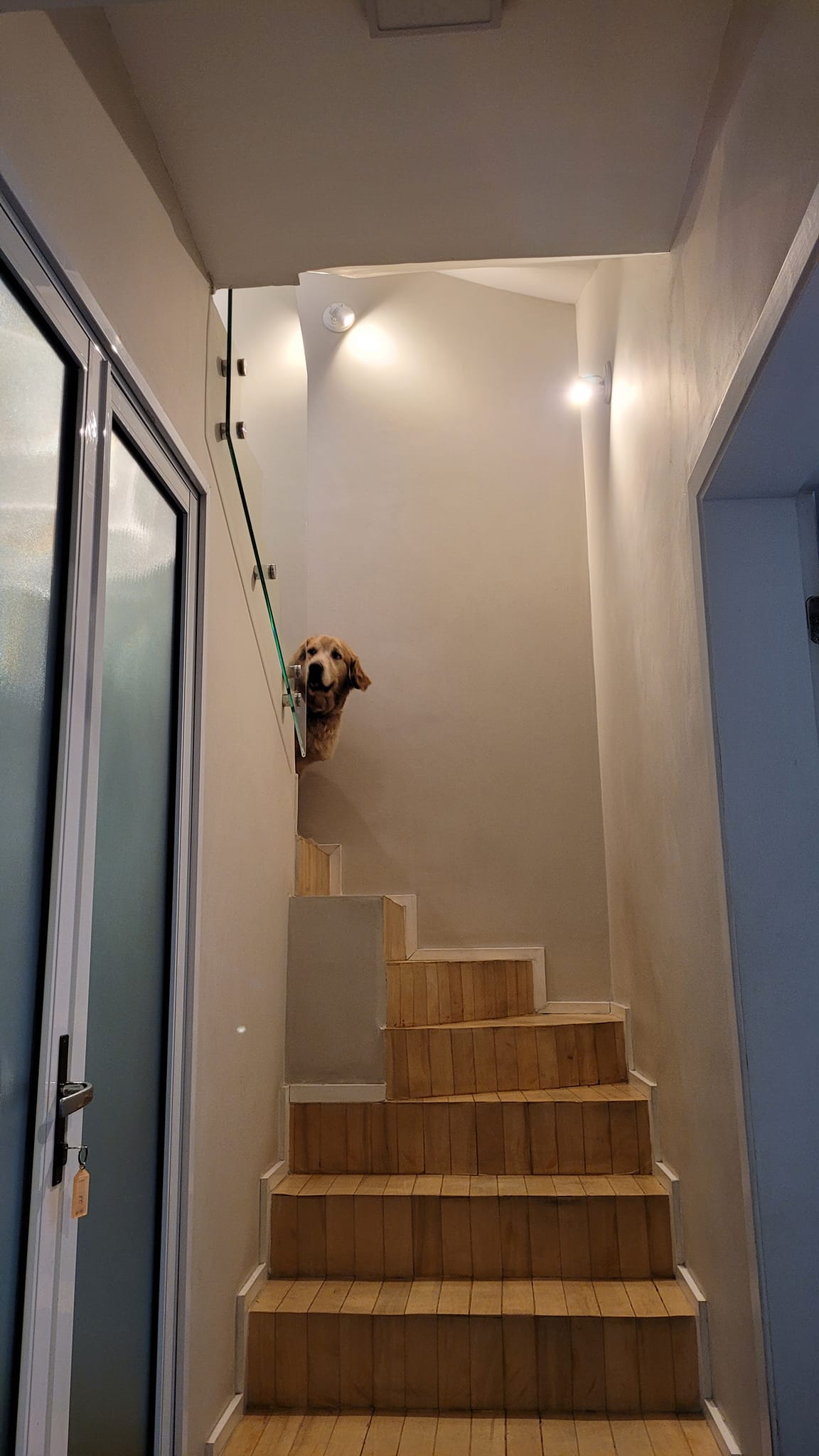 Imagem Casa de Condomínio com 4 Quartos à Venda, 260 m² em Vila Andrade - São Paulo