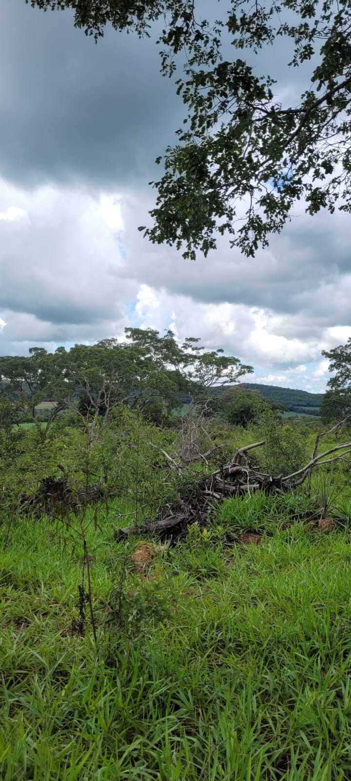 Fazenda à Venda, 20 m² em Zona Rural - Santa Cruz de Goiás