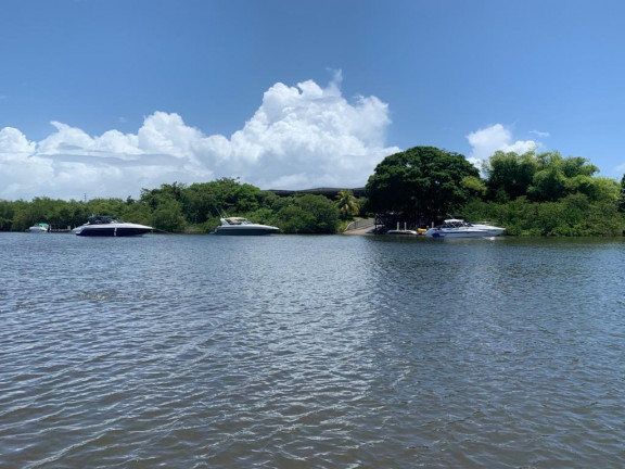 Imagem Terreno à Venda, 160.000 m² em Praia de Tamandaré - Tamandaré Imagem Terreno à Venda, 160.000 m² em Praia de Tamandaré - Tamandaré