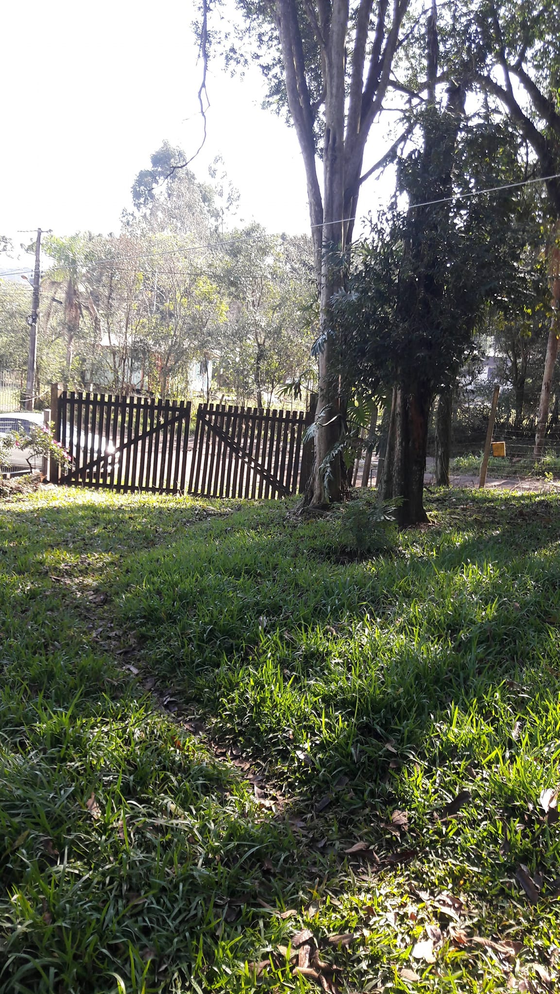 Imagem Terreno à Venda, 3.200 m²em Efapi - Chapecó
