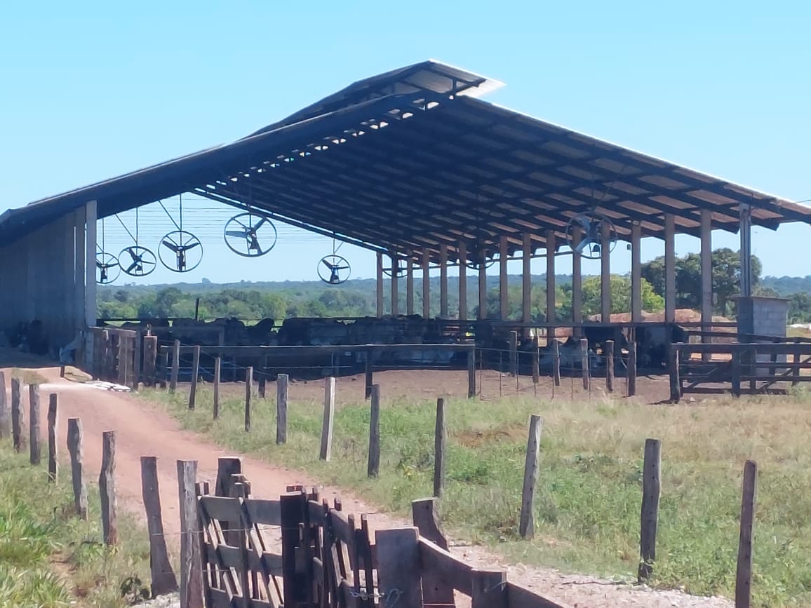 Imagem Fazenda à Venda, 968 m² em Estiva - Itajubá Imagem Fazenda à Venda, 968 m² em Estiva - Itajubá