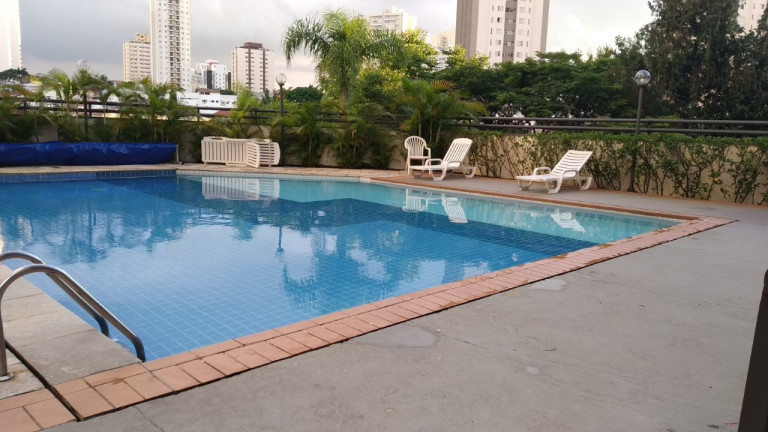 Imagem Apartamento com 3 Quartos para Alugar, 77 m² em Parque Residencial Julia - São Paulo Imagem Apartamento com 3 Quartos para Alugar, 77 m² em Parque Residencial Julia - São Paulo