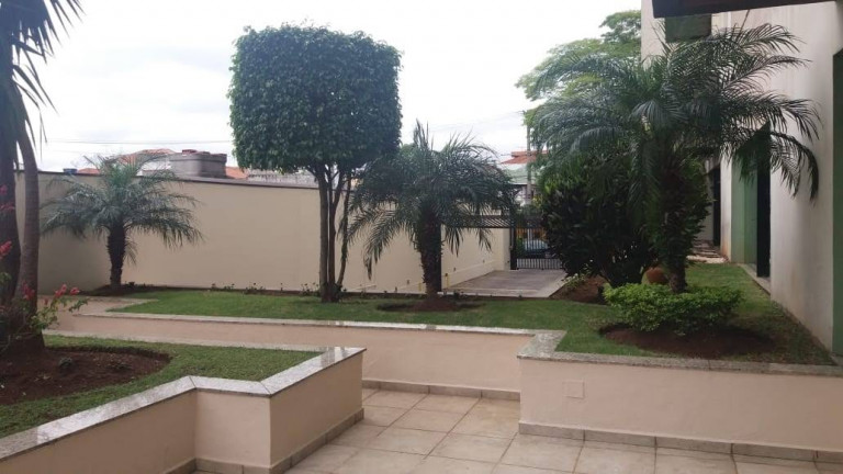 Imagem Apartamento com 2 Quartos à Venda, 51 m² em Vila Antonieta - São Paulo Imagem Apartamento com 2 Quartos à Venda, 51 m² em Vila Antonieta - São Paulo