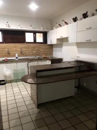 Imagem Casa com 6 Quartos para Alugar, em PIEDADE - JABOATAO Imagem Casa com 6 Quartos para Alugar, em PIEDADE - JABOATAO