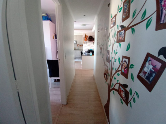 Imagem Apartamento com 2 Quartos à Venda, 50 m² em Jardim Norma - São Paulo Imagem Apartamento com 2 Quartos à Venda, 50 m² em Jardim Norma - São Paulo