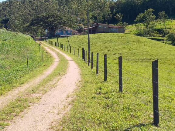 Imagem Terreno à Venda,  em Barracão - Orleans