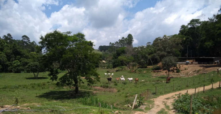 Imagem Chácara à Venda, 84.700 m² em Centro - Santa Isabel