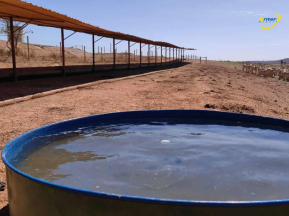 Imagem Fazenda à Venda, 297 HAem Paranoá - Brasília