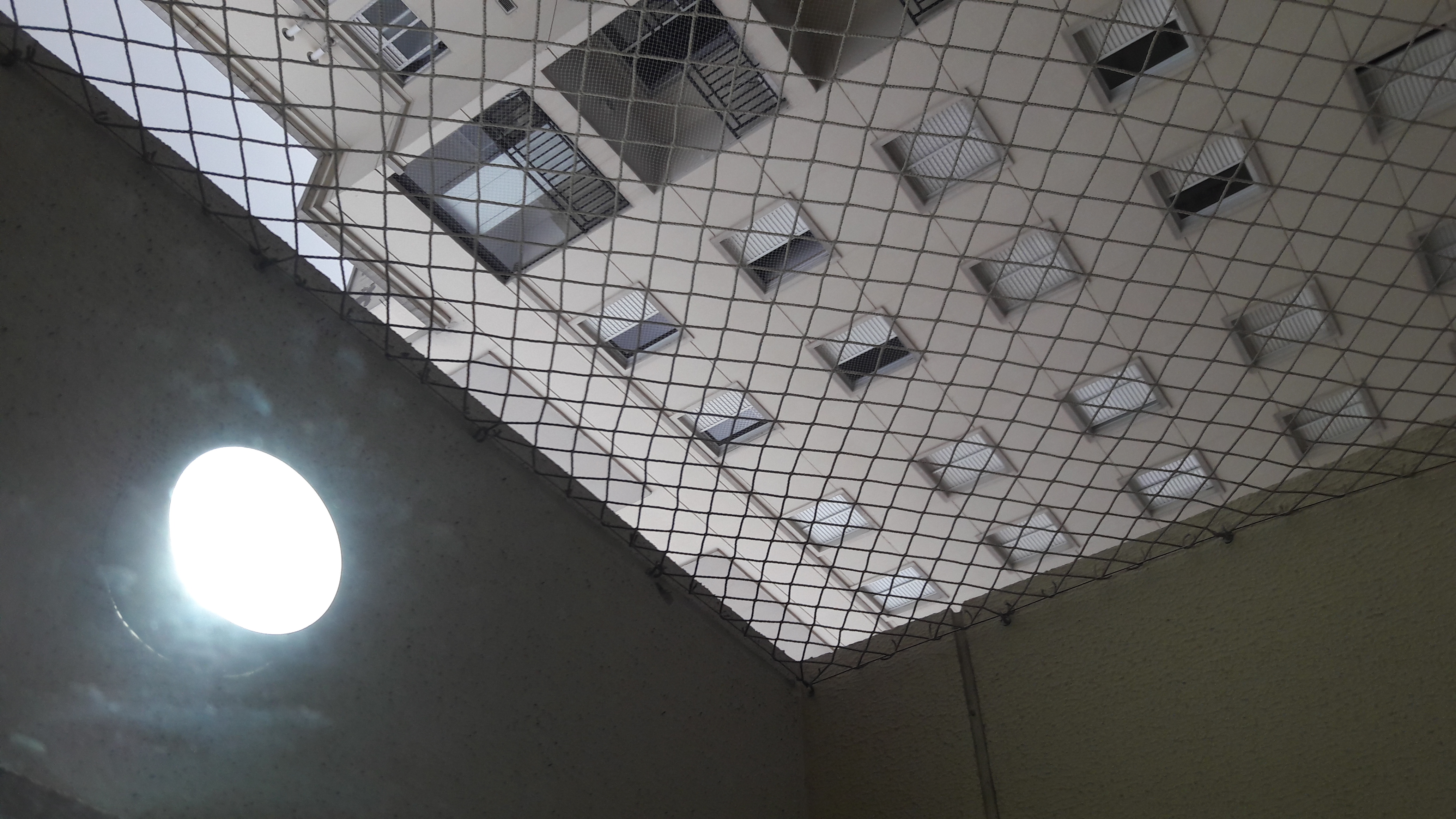 Imagem Apartamento com 2 Quartos à Venda ou Locação, em Vila Constança - São Paulo