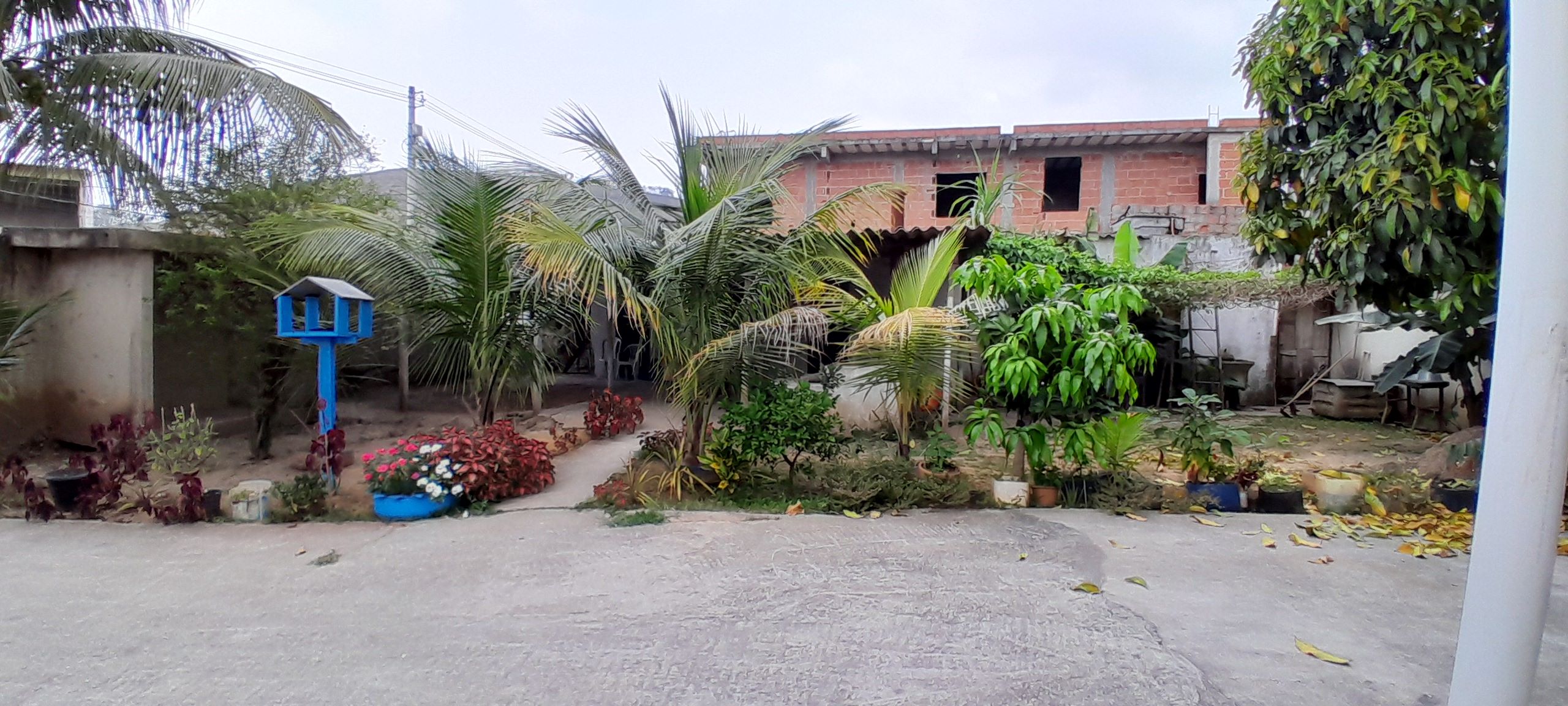 Imagem Fazenda à Venda, 500 m² em Padre Miguel - Rio de Janeiro