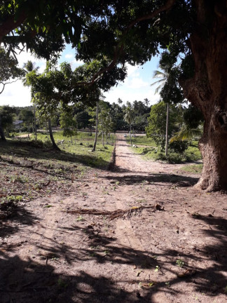 Imagem Terreno à Venda, 200 m²em Várzea da Meira (Monte Gordo) - Camaçari Imagem Terreno à Venda, 200 m²em Várzea da Meira (Monte Gordo) - Camaçari