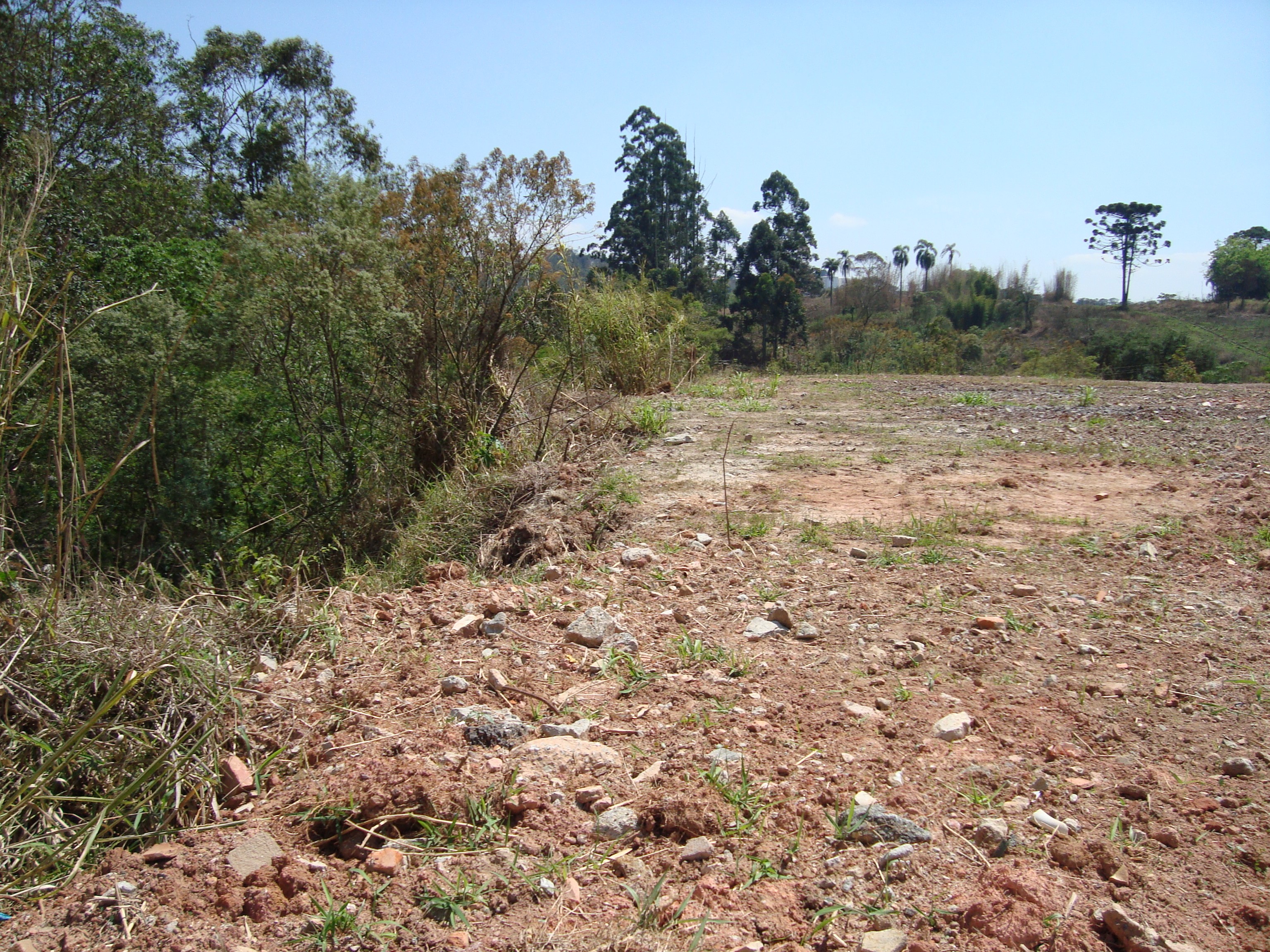 Imagem Galpão à Venda, 800 m²em Chácara Ondas Verdes - Cotia