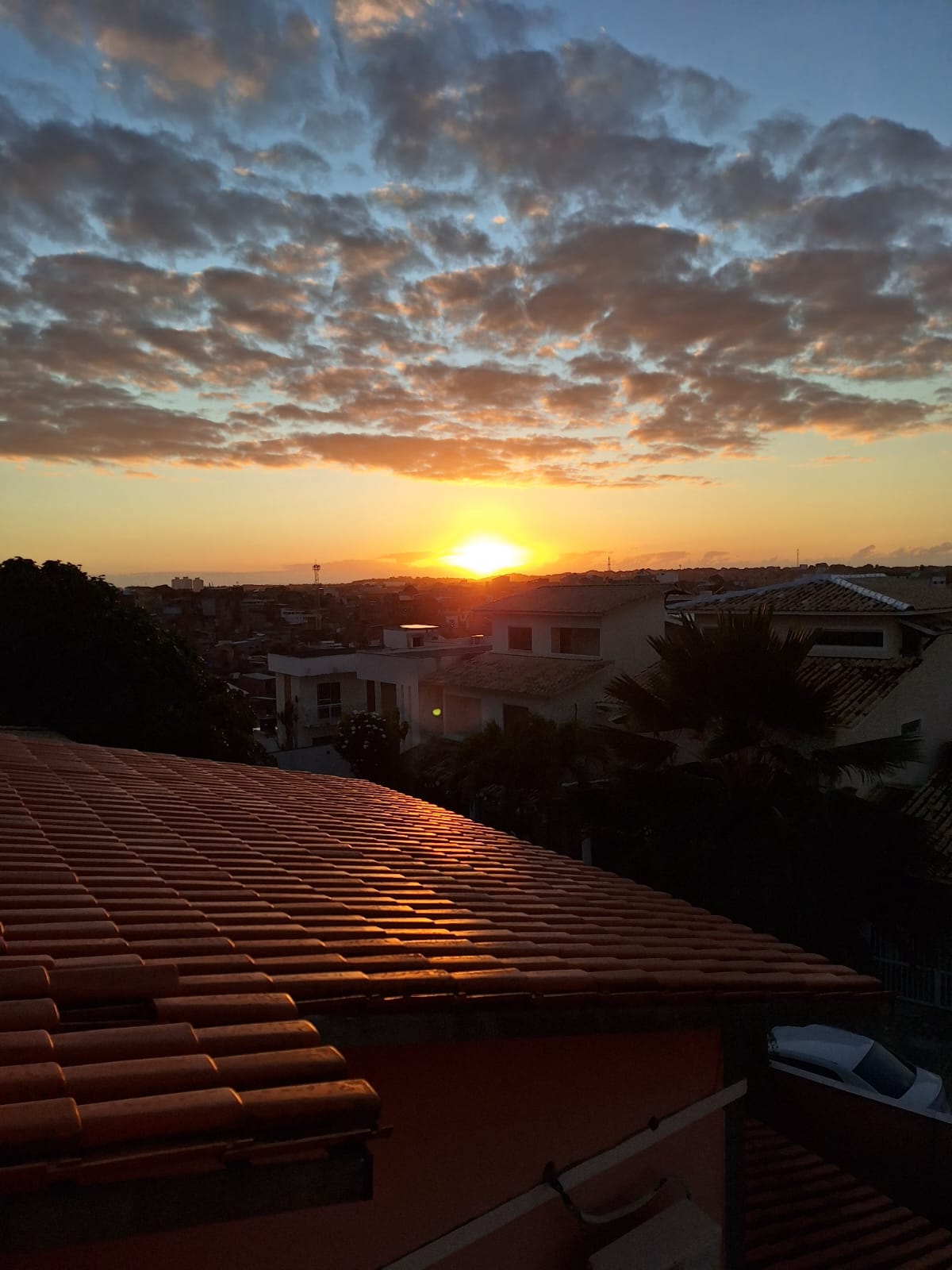 Imagem Casa de Condomínio com 4 Quartos à Venda, 250 m²em Jardim Placaford - Salvador