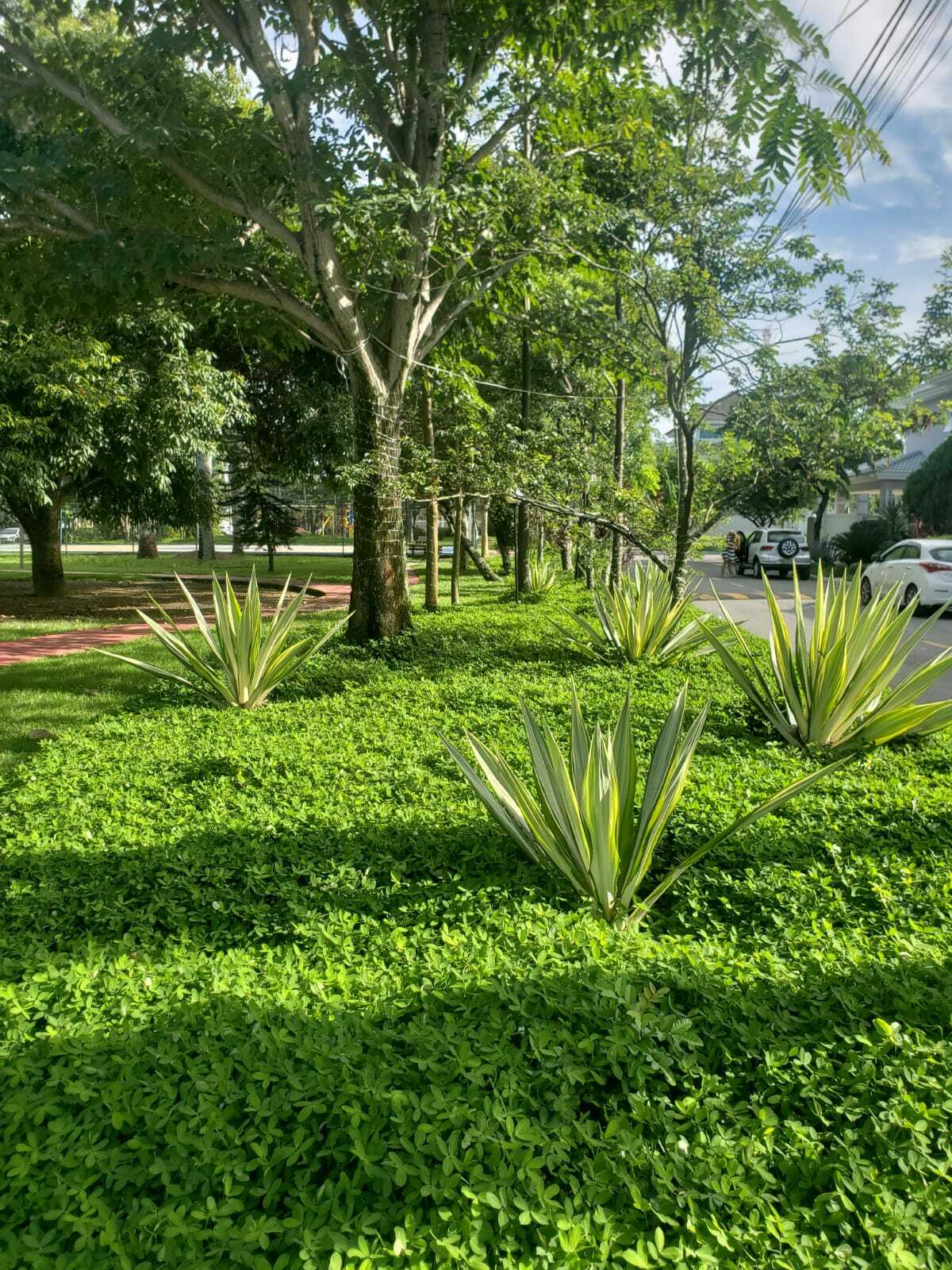 Imagem Casa de Condomínio com 3 Quartos à Venda, 248 m² em Campo Grande - Rio de Janeiro Imagem Casa de Condomínio com 3 Quartos à Venda, 248 m² em Campo Grande - Rio de Janeiro