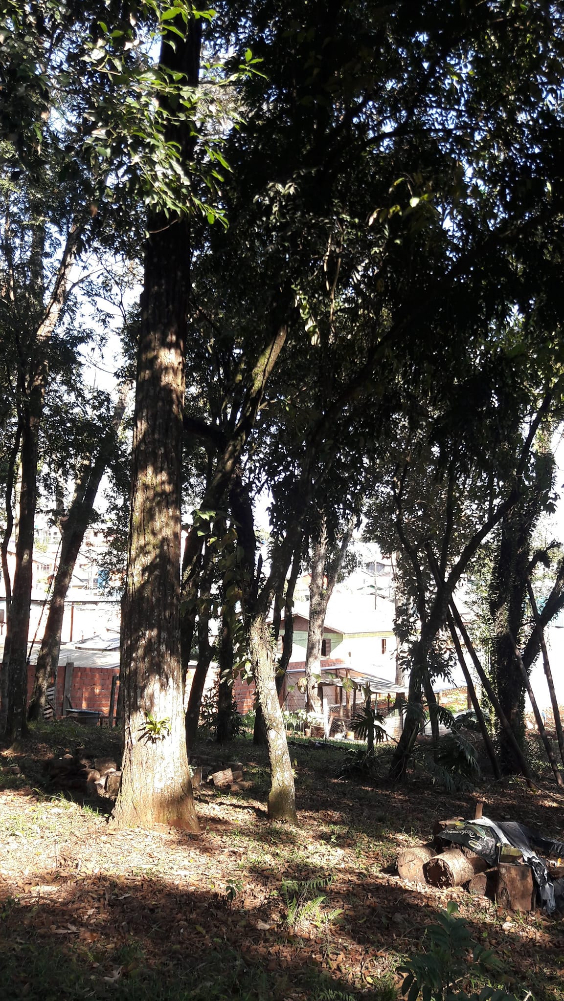 Imagem Terreno à Venda, 3 m²em Efapi - Chapecó