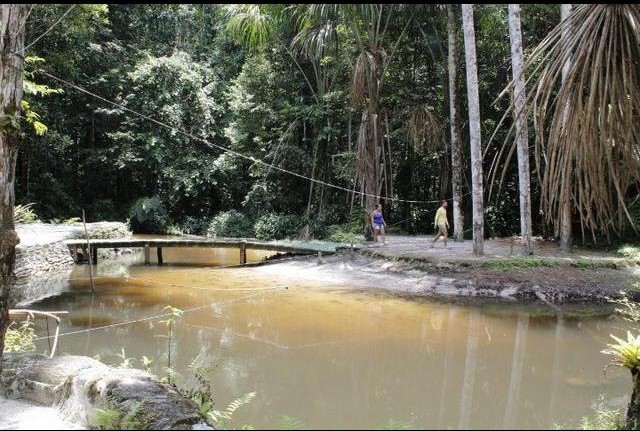Imagem Chácara com 6 Quartos à Venda, 1 m² em área Rural - Manaus Imagem Chácara com 6 Quartos à Venda, 1 m² em área Rural - Manaus