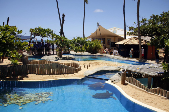 Imagem Casa de Condomínio com 2 Quartos à Venda,  em Praia do Forte - Mata de São João