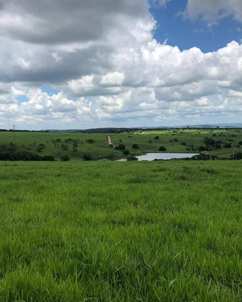 Imagem Chácara com 10 Quartos à Venda, 312 m²em Centro - Imperatriz Imagem Chácara com 10 Quartos à Venda, 312 m²em Centro - Imperatriz