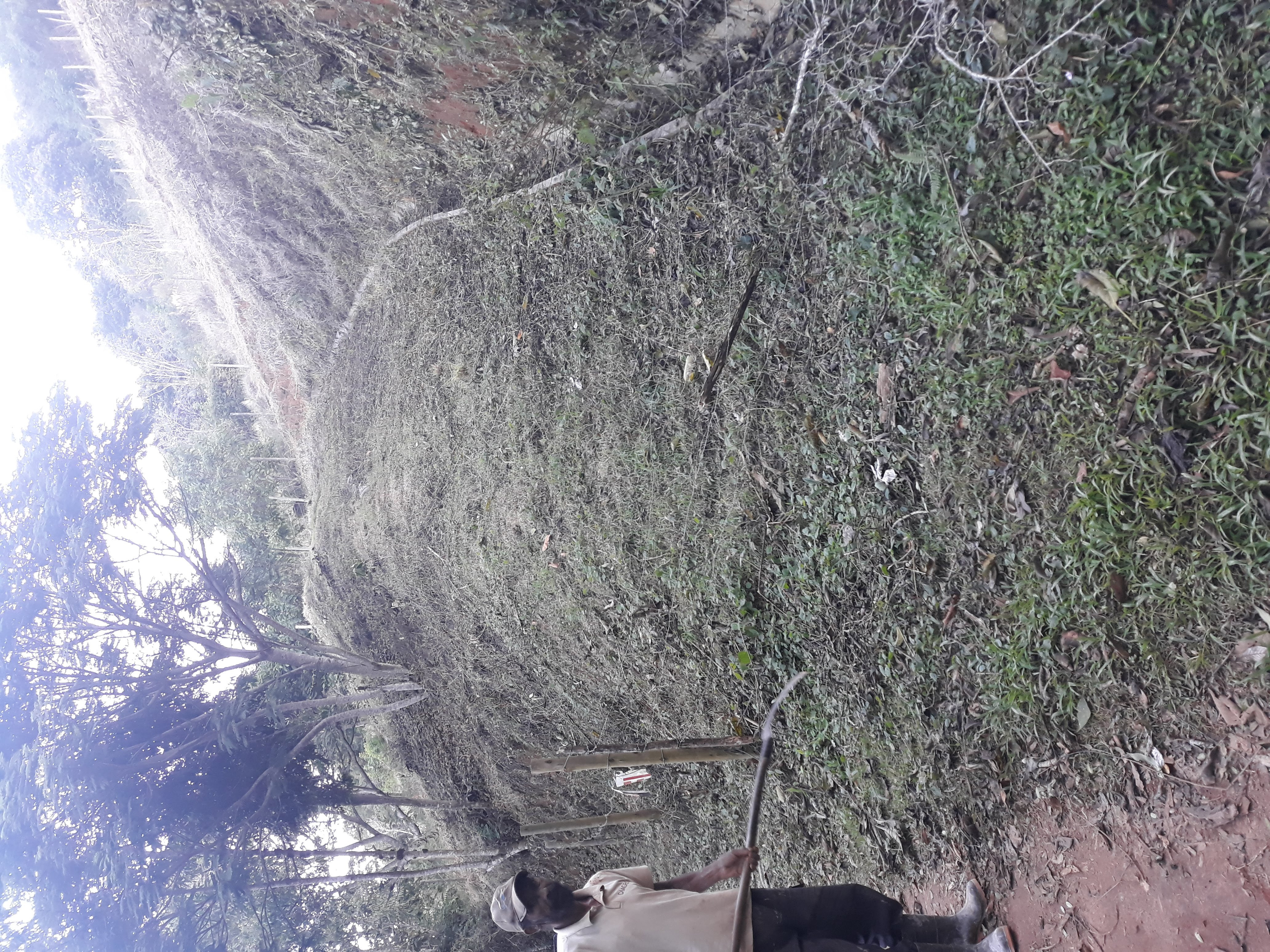 Imagem Terreno à Venda, em Humaitá - Juiz de Fora Imagem Terreno à Venda, em Humaitá - Juiz de Fora