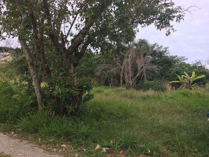 Imagem Terreno à Venda, 231 m² em Rio Vermelho - Florianópolis