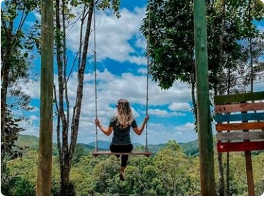 Imagem Chácara com 3 Quartos à Venda, 7.232 m² em Testo Alto - Pomerode