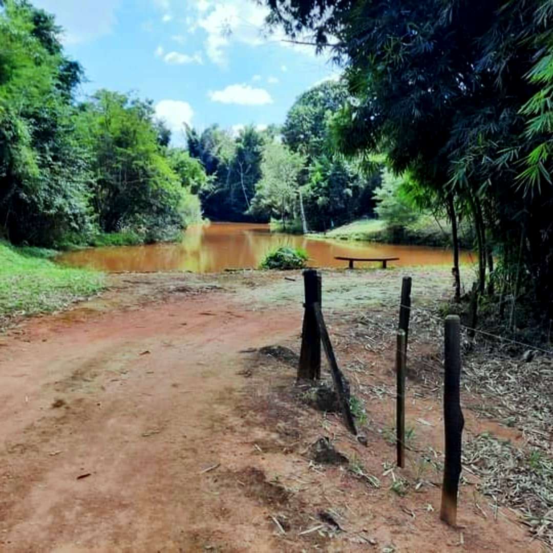 Imagem Fazenda à Venda, 4 Alq SPem rural - Caconde